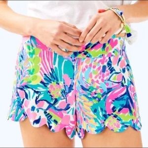 Lilly Pulitzer Gumbo Limbo Dahlia Scalloped Shorts